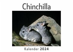 Chinchilla (Wandkalender 2024, Kalender DIN A4 quer, Monatskalender im Querformat mit Kalendarium, Das perfekte Geschenk) - Müller, Anna