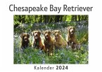 Chesapeake Bay Retriever (Wandkalender 2024, Kalender DIN A4 quer, Monatskalender im Querformat mit Kalendarium, Das perfekte Geschenk)