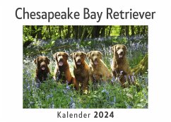 Chesapeake Bay Retriever (Wandkalender 2024, Kalender DIN A4 quer, Monatskalender im Querformat mit Kalendarium, Das perfekte Geschenk) - Müller, Anna