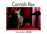 Cornish Rex (Wandkalender 2024, Kalender DIN A4 quer, Monatskalender im Querformat mit Kalendarium, Das perfekte Geschenk)