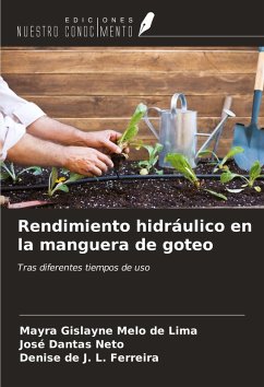 Cover Rendimiento hidráulico en la manguera de goteo