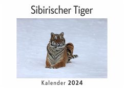 Sibirischer Tiger (Wandkalender 2024, Kalender DIN A4 quer, Monatskalender im Querformat mit Kalendarium, Das perfekte Geschenk) - Müller, Anna