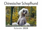 Chinesischer Schopfhund (Wandkalender 2024, Kalender DIN A4 quer, Monatskalender im Querformat mit Kalendarium, Das perfekte Geschenk)