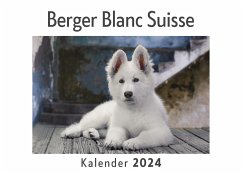 Berger Blanc Suisse (Wandkalender 2024, Kalender DIN A4 quer, Monatskalender im Querformat mit Kalendarium, Das perfekte Geschenk) - Müller, Anna