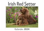 Irish Red Setter (Wandkalender 2024, Kalender DIN A4 quer, Monatskalender im Querformat mit Kalendarium, Das perfekte Geschenk)
