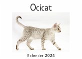 Ocicat (Wandkalender 2024, Kalender DIN A4 quer, Monatskalender im Querformat mit Kalendarium, Das perfekte Geschenk)