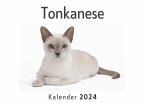 Tonkanese (Wandkalender 2024, Kalender DIN A4 quer, Monatskalender im Querformat mit Kalendarium, Das perfekte Geschenk)