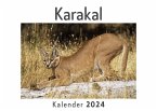 Karakal (Wandkalender 2024, Kalender DIN A4 quer, Monatskalender im Querformat mit Kalendarium, Das perfekte Geschenk)
