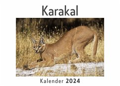 Karakal (Wandkalender 2024, Kalender DIN A4 quer, Monatskalender im Querformat mit Kalendarium, Das perfekte Geschenk) - Müller, Anna