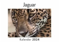 Jaguar (Wandkalender 2024, Kalender DIN A4 quer, Monatskalender im Querformat mit Kalendarium, Das perfekte Geschenk) - Müller, Anna