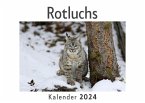 Rotluchs (Wandkalender 2024, Kalender DIN A4 quer, Monatskalender im Querformat mit Kalendarium, Das perfekte Geschenk)