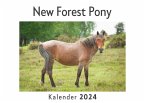 New Forest Pony (Wandkalender 2024, Kalender DIN A4 quer, Monatskalender im Querformat mit Kalendarium, Das perfekte Geschenk)