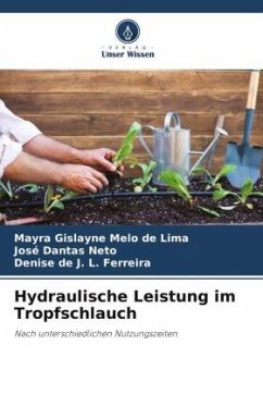 Hydraulische Leistung im Tropfschlauch - Melo de Lima, Mayra Gislayne;Dantas Neto, José;L. Ferreira, Denise de J.