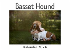 Basset Hound (Wandkalender 2024, Kalender DIN A4 quer, Monatskalender im Querformat mit Kalendarium, Das perfekte Geschenk) - Müller, Anna
