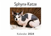 Sphynx-Katze (Wandkalender 2024, Kalender DIN A4 quer, Monatskalender im Querformat mit Kalendarium, Das perfekte Geschenk)