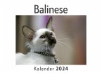 Balinese (Wandkalender 2024, Kalender DIN A4 quer, Monatskalender im Querformat mit Kalendarium, Das perfekte Geschenk)