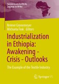 Industrialization in Ethiopia: Awakening - Crisis - Outlooks (eBook, PDF)