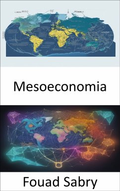 Mesoeconomia (eBook, ePUB) - Sabry, Fouad