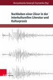 Nachbeben einer Zäsur in der interkulturellen Literatur und Kulturpraxis (eBook, PDF)