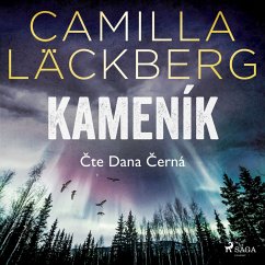 Cover Kameník (MP3-Download)