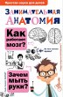 Zanimatelnaya anatomiya (eBook, ePUB) - Bild 1