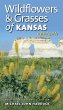 Wildflowers and Grasses of Kansas - Bild 1