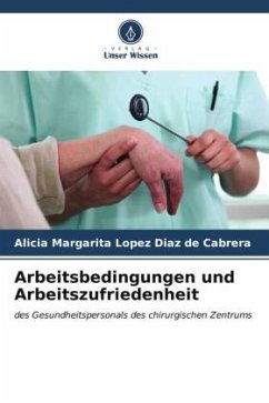 Arbeitsbedingungen und Arbeitszufriedenheit - Lopez Diaz de Cabrera, Alicia Margarita