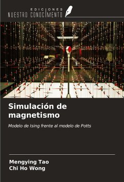 Cover Simulación de magnetismo