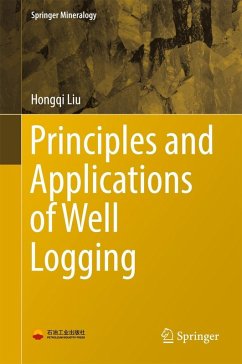 Principles and Applications of Well Logging (eBook, ePUB) - Liu, Hongqi