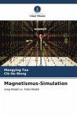 Magnetismus-Simulation