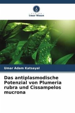 Das antiplasmodische Potenzial von Plumeria rubra und Cissampelos mucrona - Katsayal, Umar Adam