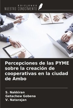 Cover Percepciones de las PYME sobre la creación de cooperativas en la ciudad de Ambo