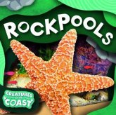 Rockpools Rockpools