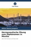 Hermeneutische Übung zum Ölphänomen in Mexiko