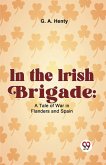 In The Irish Brigade