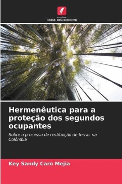 Hermenêutica para a proteção dos segundos ocupantes - Caro Mejia, Key Sandy