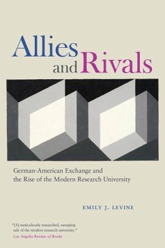 Allies and Rivals - Levine, Emily J.