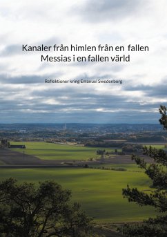 Kanaler från himlen från en fallen Messias i en fallen värld (eBook, ePUB)