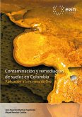 Contaminación y remediación de suelos en Colombia. Aplicación a la minería de oro (eBook, PDF)