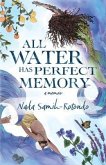 All Water Has Perfect Memory (eBook, ePUB)