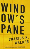 Window's Pane (The Vision Chronicles, #3) (eBook, ePUB)
