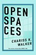 Open Spaces (The Vision Chronicles, #5)... - Bild 1