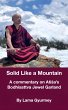 Solid Like a Mountain (eBook, ePUB) - Bild 1