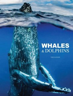 Whales & Dolphins - Jackson, Tom