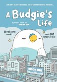 A Budgie's Life
