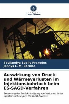 Auswirkung von Druck- und Wärmeverlusten im Injektionsbohrloch beim ES-SAGD-Verfahren - Praxedes, Tayllandya Suelly;M. Barillas, Jennys L.