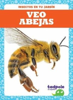 Cover Veo Abejas (I See Bees)