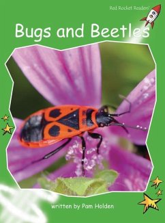 Bugs and Beetles Big Book Edition - Holden, Pam