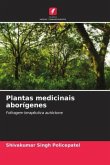 Plantas medicinais aborígenes