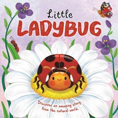 Nature Stories: Little Ladybug Discover an Amazing Story from the Natural World - Igloobooks; Harkness, Rose